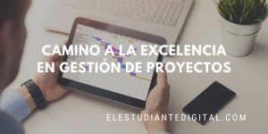 camino a la excelencia en gestion de proyectos-curso